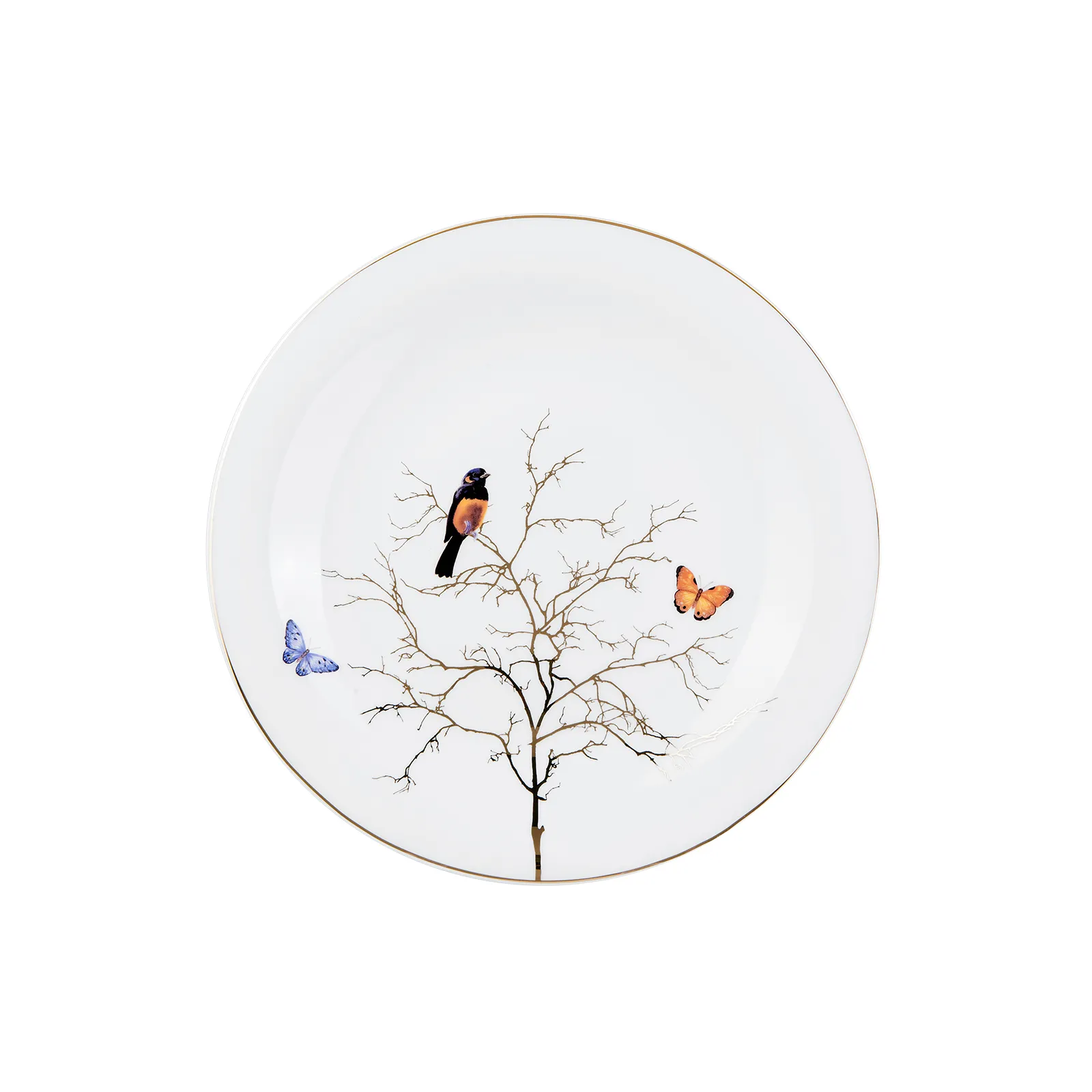 Image du produit 12