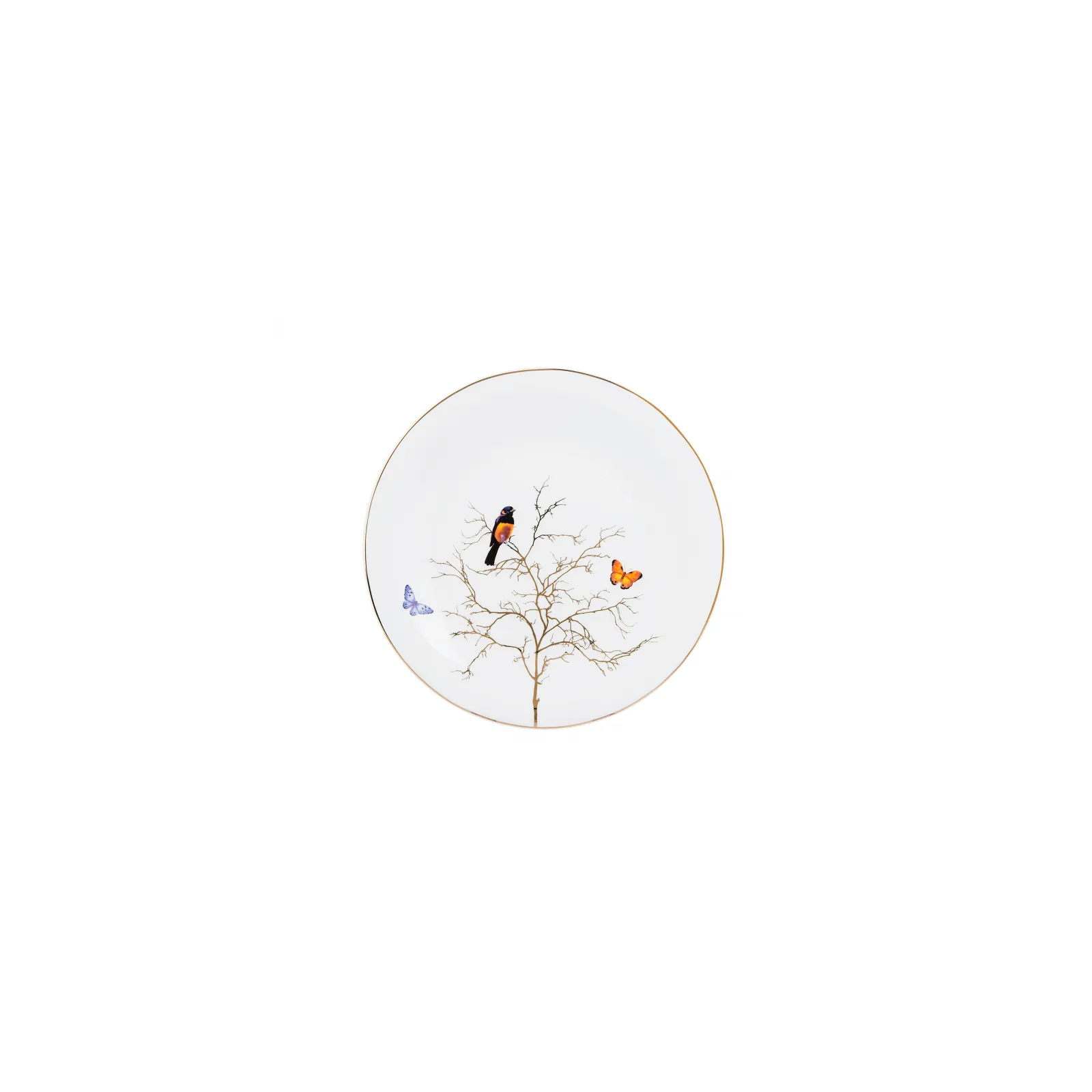 Image du produit 18